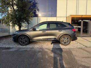 FORD Kuga 1.5 EcoBlue 120 CV aut. 2WD ST-Line 3