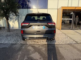 FORD Kuga 1.5 EcoBlue 120 CV aut. 2WD ST-Line 4
